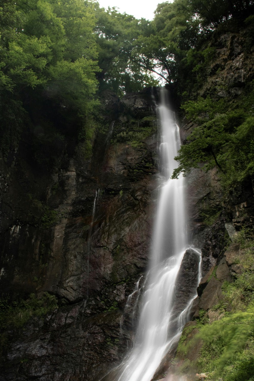 Falling Water