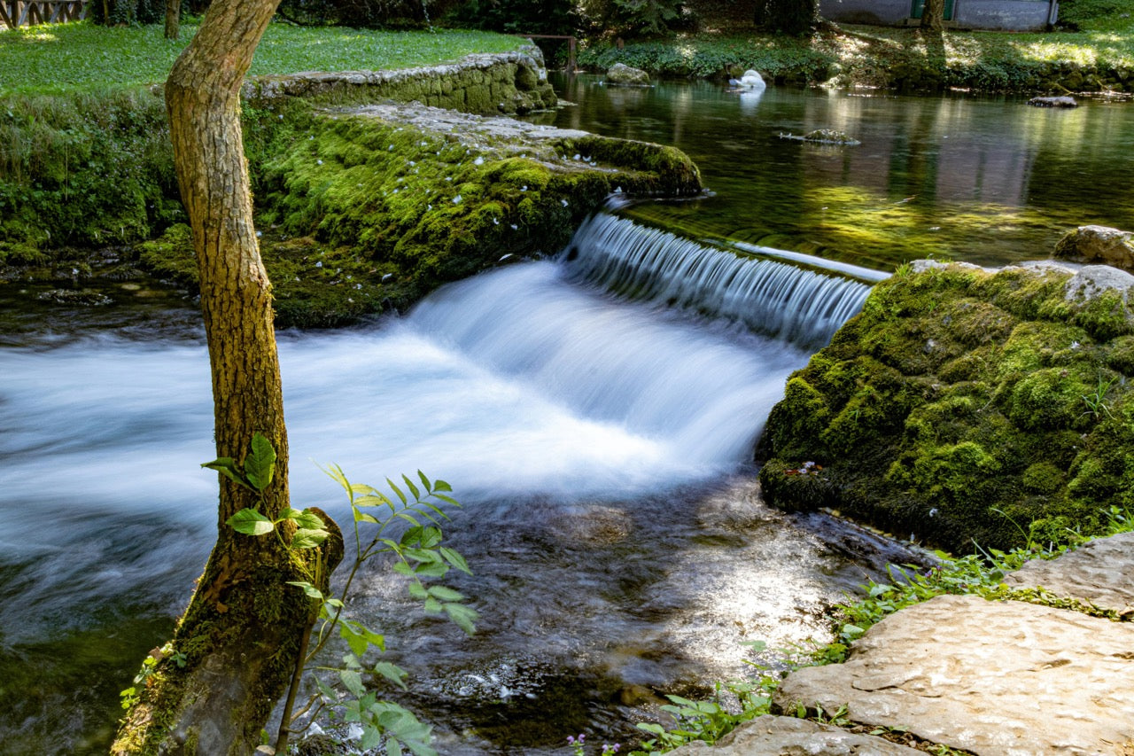 Forest Cascade