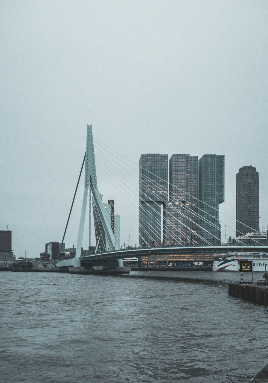 Harbor Lines