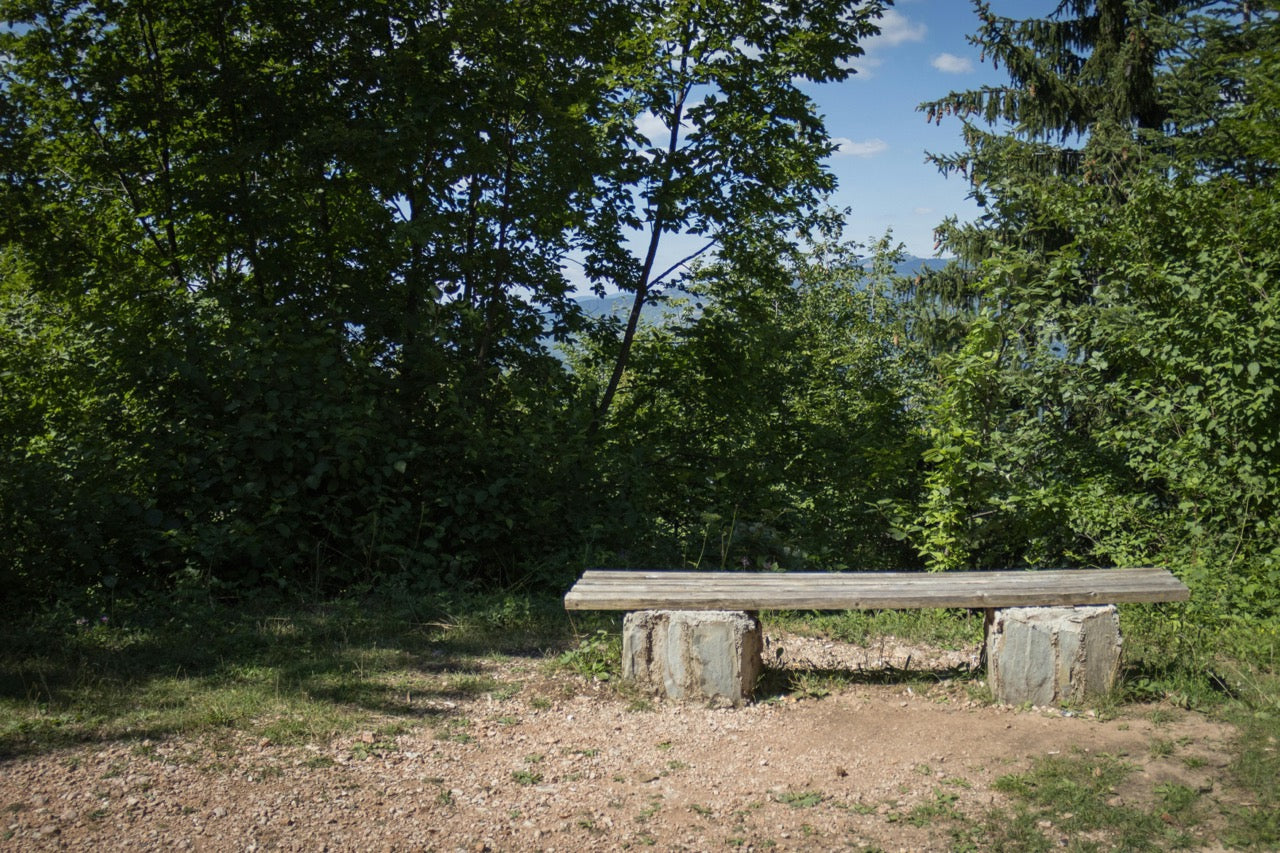 Forest Bench