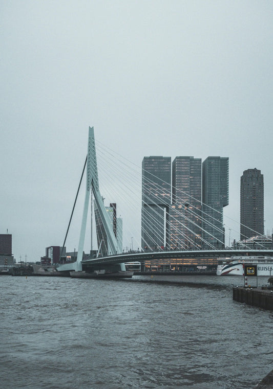 Harbor Lines
