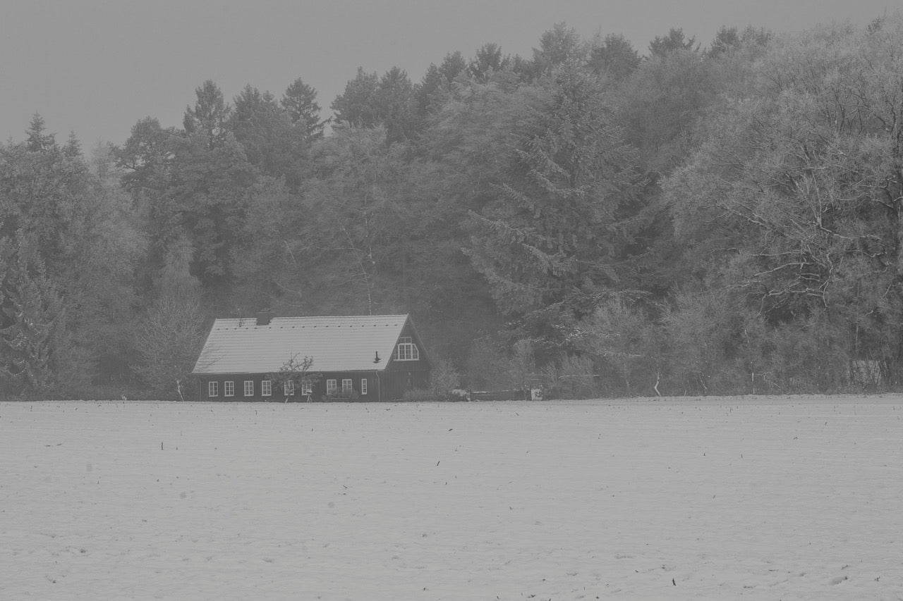 Snowbound House