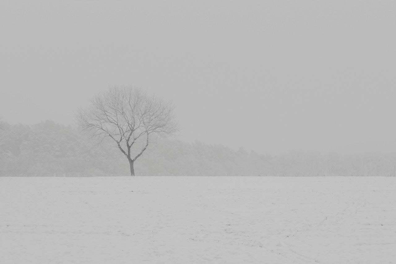 Winter Silence